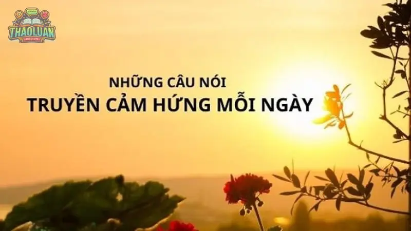 Những câu nói truyền cảm hứng làm đẹp ấn tượng nhất