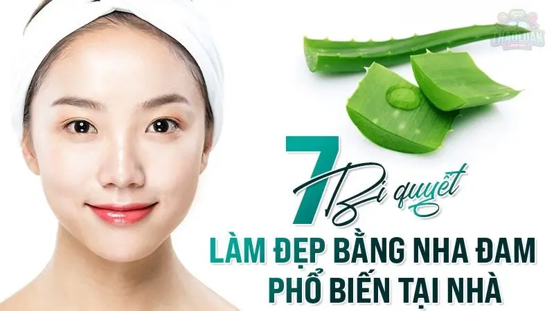 Top 7 cách làm đẹp bằng Nha Đam đơn giản và hiệu quả