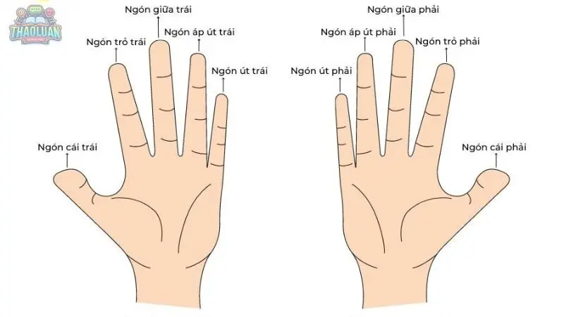 Ý nghĩa các ngón tay đeo nhẫn cho nữ và nam chính xác nhất 