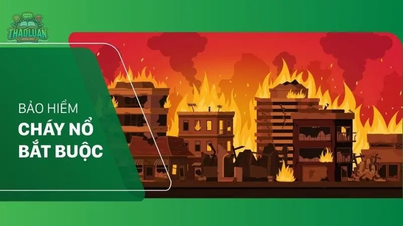 Bảo hiểm cháy nổ - Nên mua gói nào để phù hợp với nhu cầu của bạn