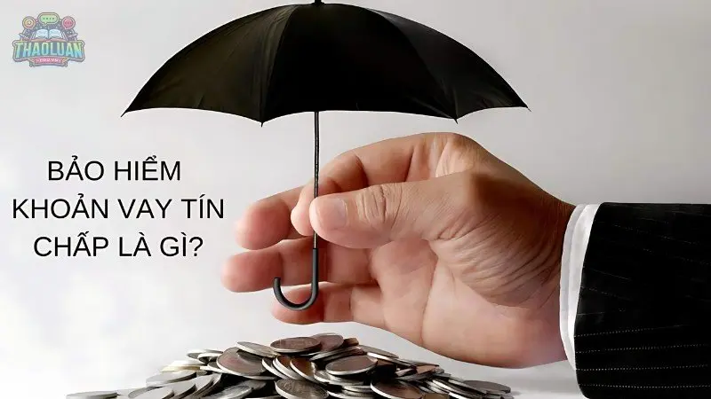 Bảo hiểm khoản vay tín chấp - Hỗ trợ bạn trong mọi hoàn cảnh