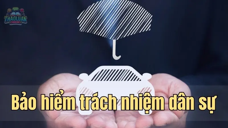 Bảo hiểm trách nhiệm dân sự - Bảo vệ bản thân khỏi rủi ro pháp lý