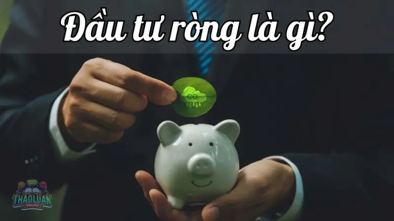 Đầu tư ròng - Chìa khóa dẫn đến thành công trong đầu tư
