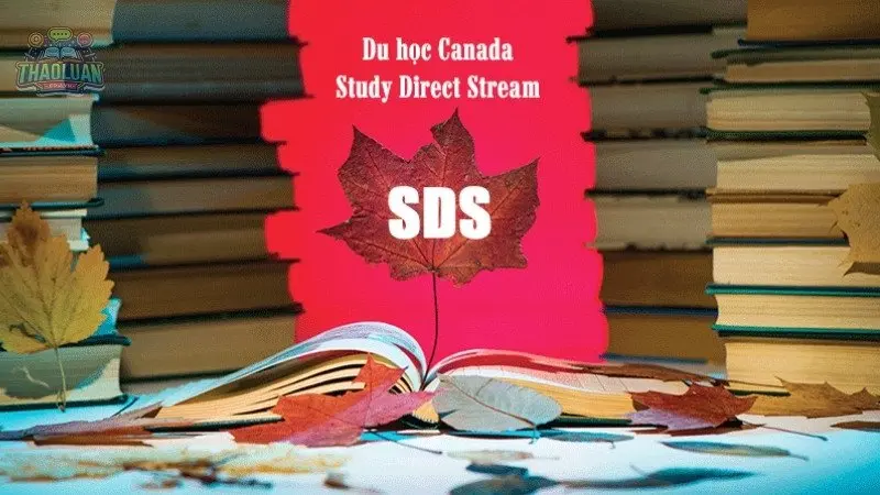 Du học diện SDS - Tại sao đây là lựa chọn hàng đầu của sinh viên?