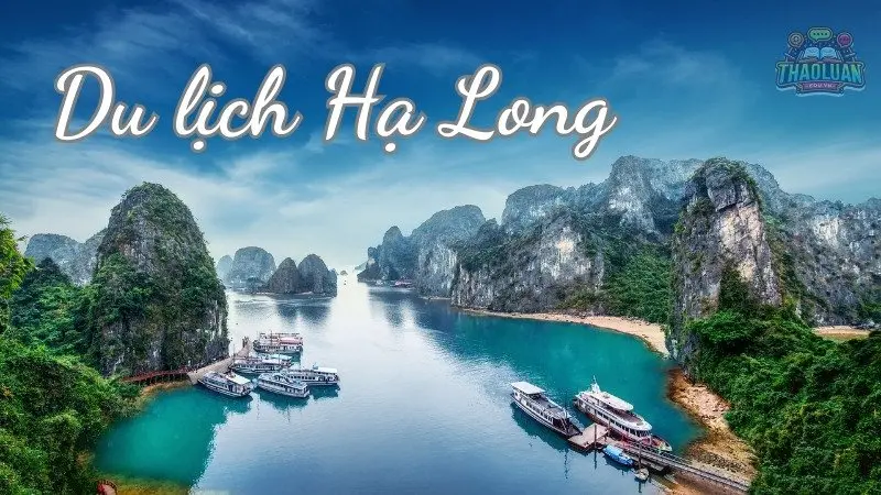 Du lịch Hạ Long - Hành trình du lịch trọn vẹn cho mọi lứa tuổi