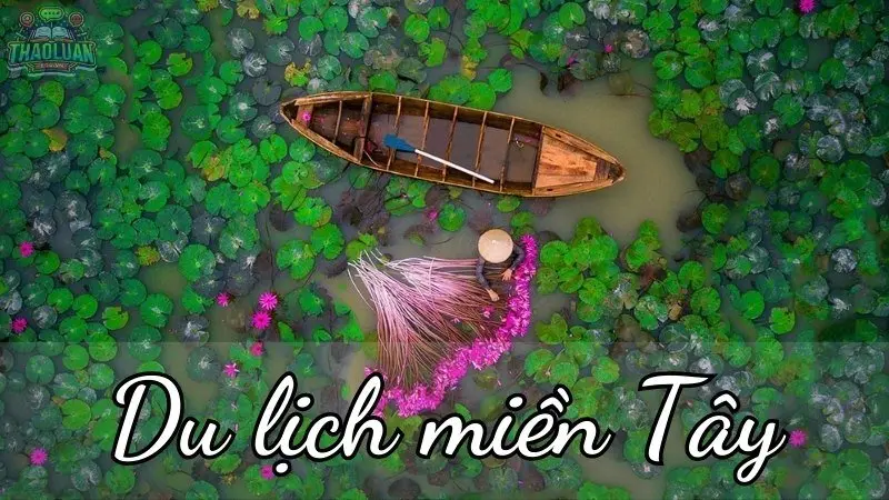 Du lịch miền Tây - Trải nghiệm văn hóa sông nước và ẩm thực độc đáo