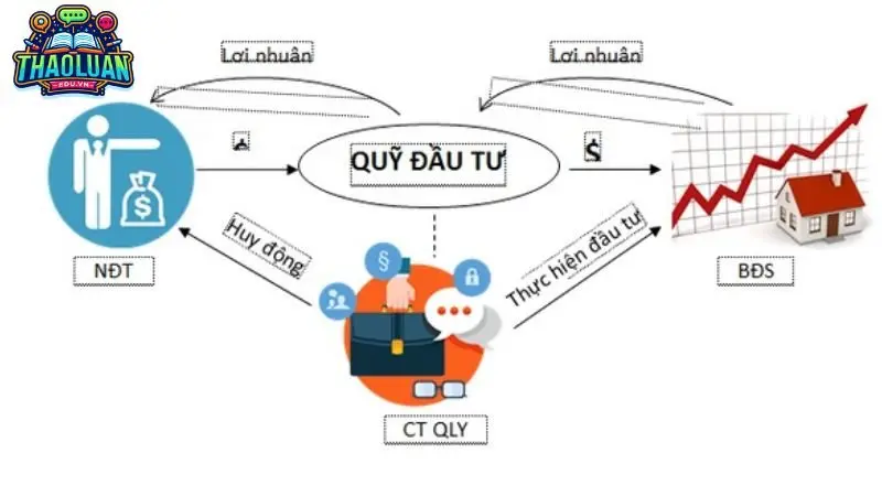 Quỹ đầu tư là gì? Khái niệm, phân loại, lợi ích và quy trình 