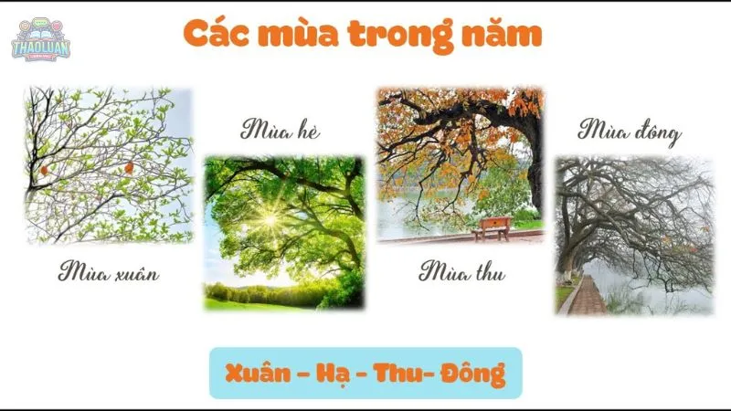 Tìm hiểu 4 mùa trong năm ở Việt Nam có gì đặc biệt?