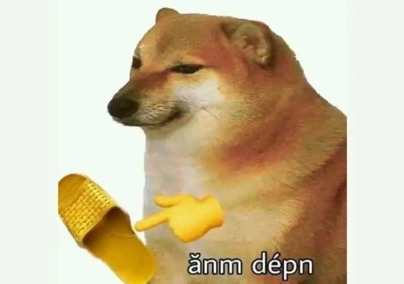 Dog meme png sẽ khiến bạn cảm thấy thoải mái và vui vẻ