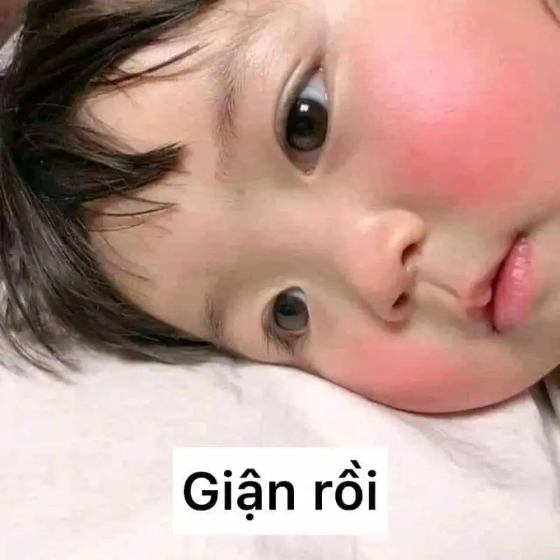 Hình meme cute dễ thương giúp bạn chia sẻ niềm vui với bạn bè