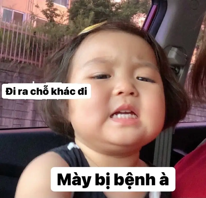 Cute meme hài giúp bạn giải tỏa căng thẳng và thư giãn