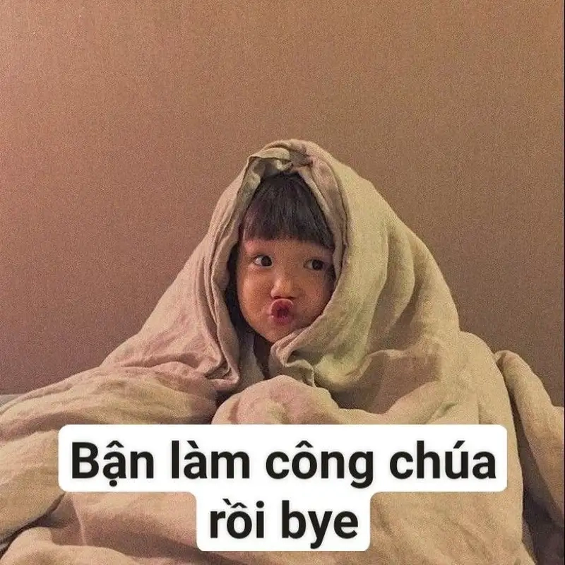 Hình ảnh em bé meme tạo nên những khoảnh khắc đáng yêu