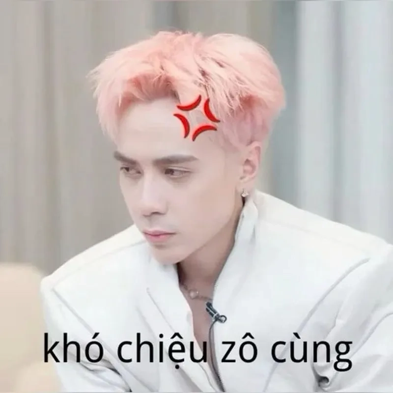 Meme hài bựa chó luôn thu hút sự chú ý với sự hài hước