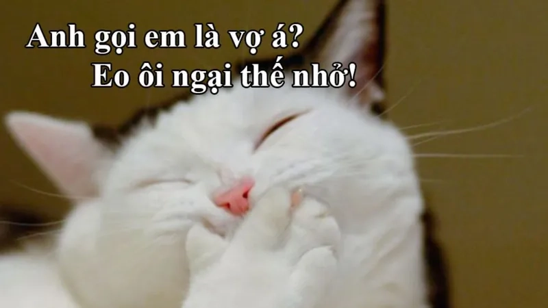 Meme hài hước cute tạo nên những khoảnh khắc đáng yêu