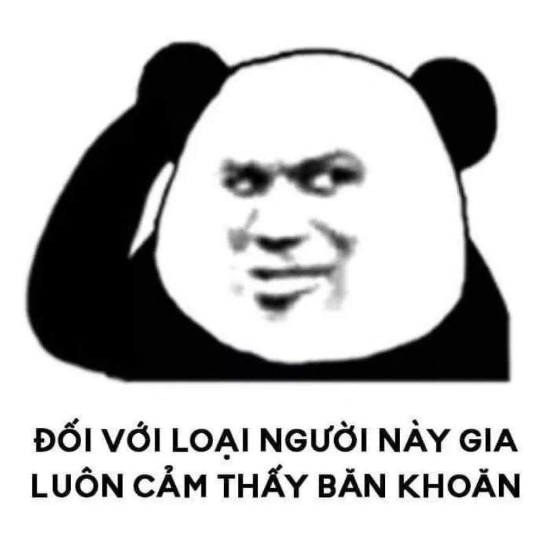 Ảnh meme hài mèo tạo nên những khoảnh khắc vui vẻ