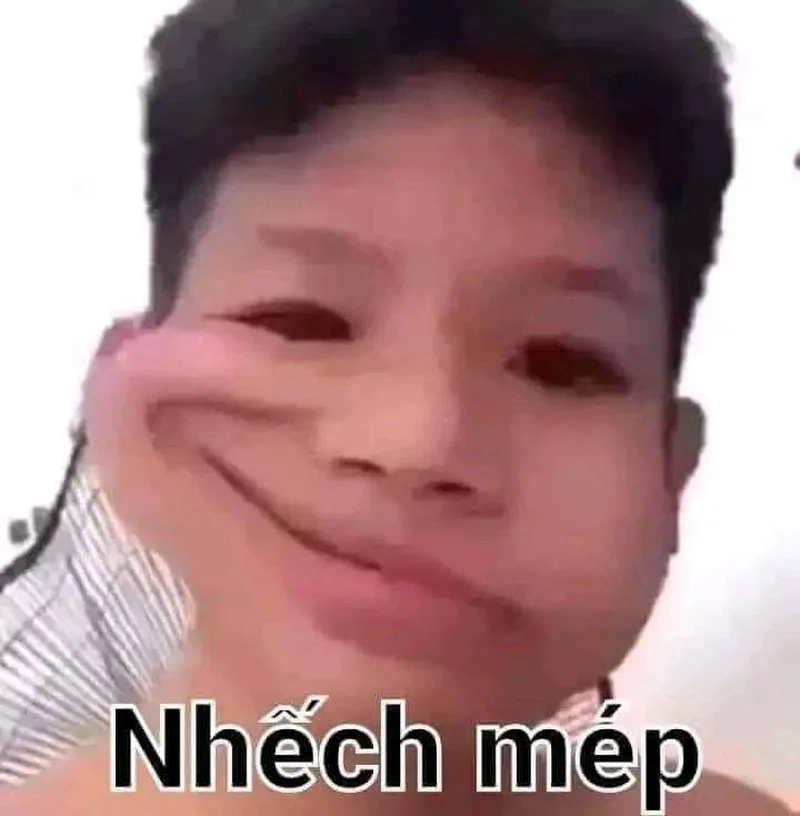 Gấu trúc meme hài tạo nên sự dễ thương và vui nhộn