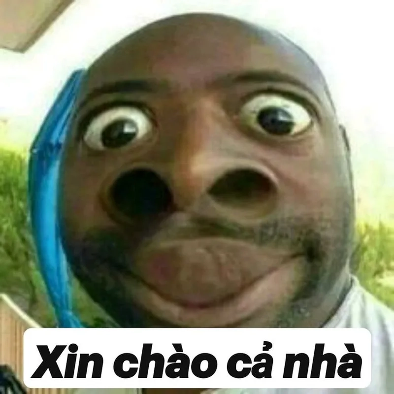 Loopy meme hài luôn gây ấn tượng với sự hài hước