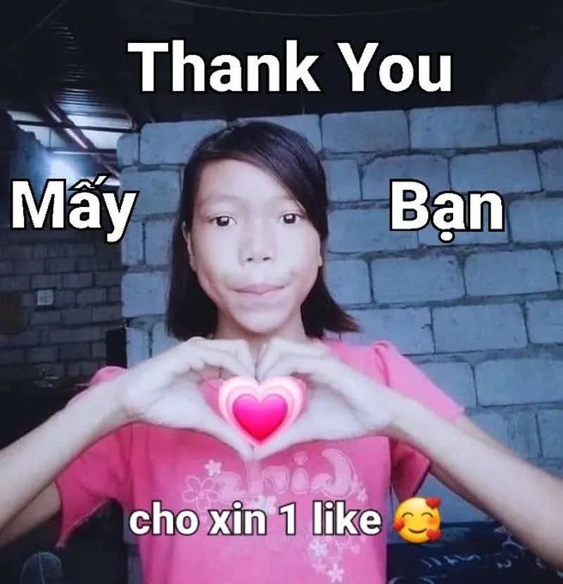 Đường tăng chế ảnh meme hài mang đến sự hài hước và vui nhộn