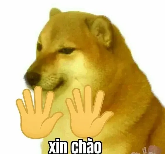 Ảnh chào tạm biệt meme sẽ khiến bạn cảm thấy đồng cảm và hài hước