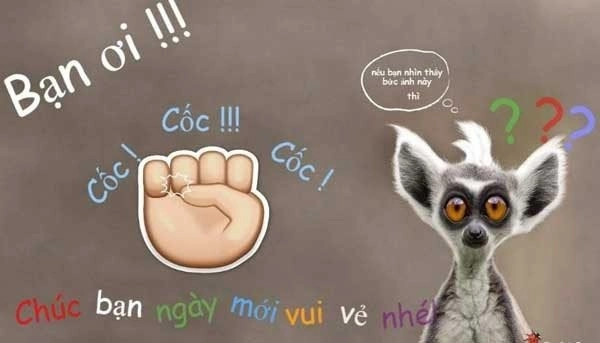 Hello meme chào là cách thú vị để bắt đầu cuộc trò chuyện