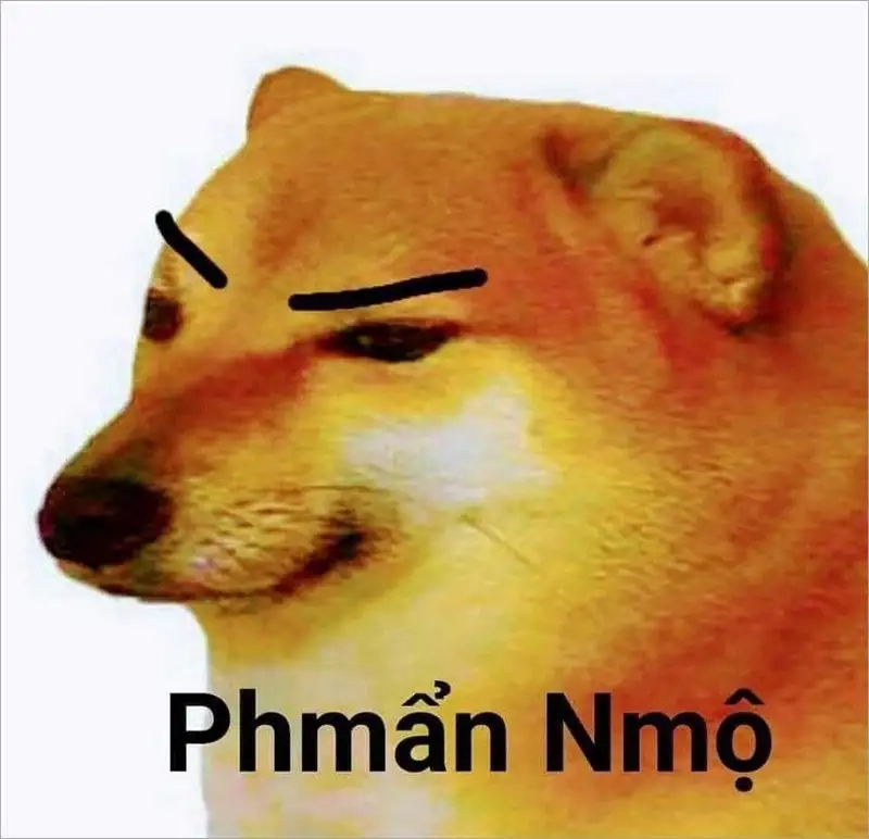 Meme dog cheems sẽ khiến bạn cảm thấy dễ thương và vui vẻ