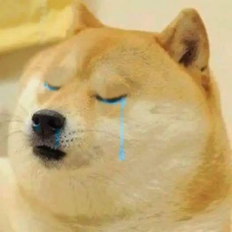 Doge meme cheems sẽ khiến bạn không thể nhịn cười với sự đáng yêu