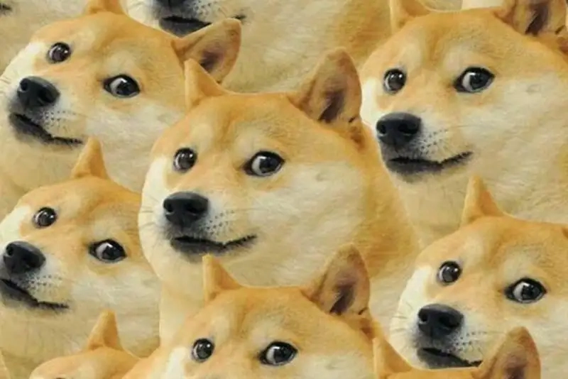 Meme doge việt nam thể hiện sự sáng tạo và hài hước trong văn hóa Việt