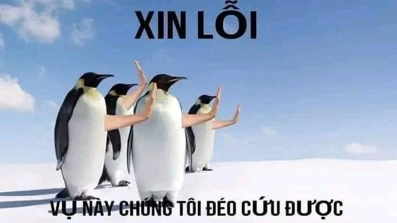 Cứu bé meme thể hiện sự dễ thương và hài hước cho người xem