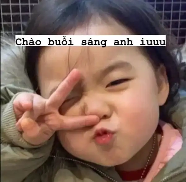 Meme chào mừng sẽ khiến bạn cảm thấy vui vẻ và thoải mái