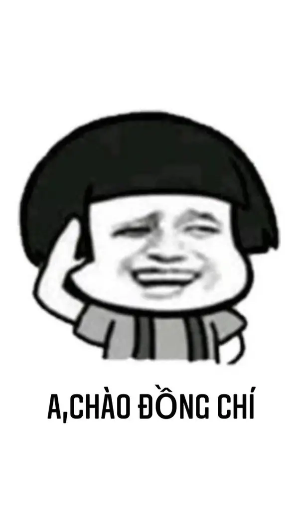 Mèo chào meme mang đến sự dễ thương và hài hước