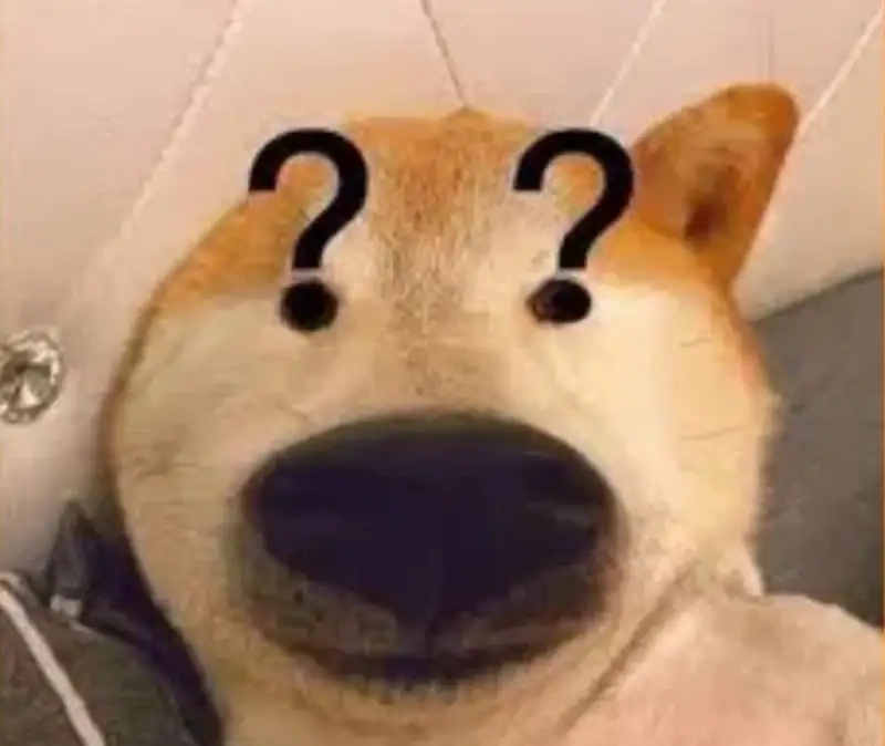 Sad dog meme mang đến sự đồng cảm và hài hước trong những tình huống buồn