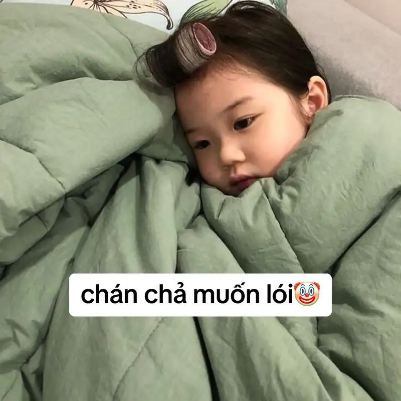 Ảnh meme em bé cute luôn thu hút sự chú ý