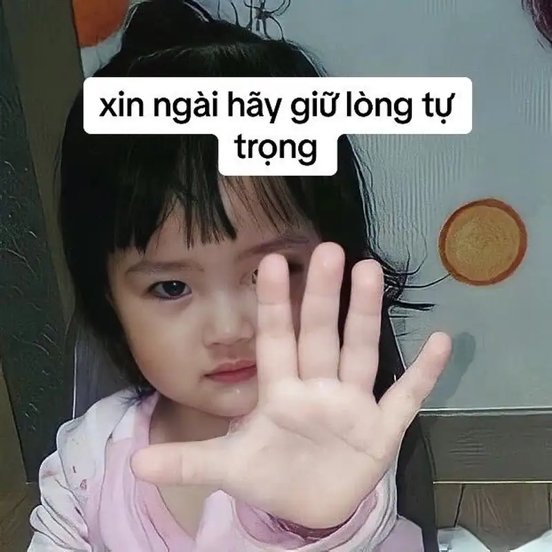 Em bé meme dễ thương luôn làm tan chảy trái tim người xem