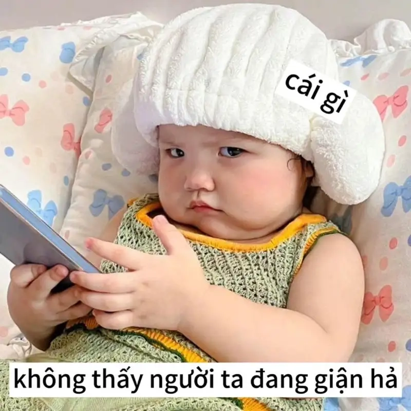 Ảnh meme em bé khóc luôn gây ấn tượng với sự dễ thương