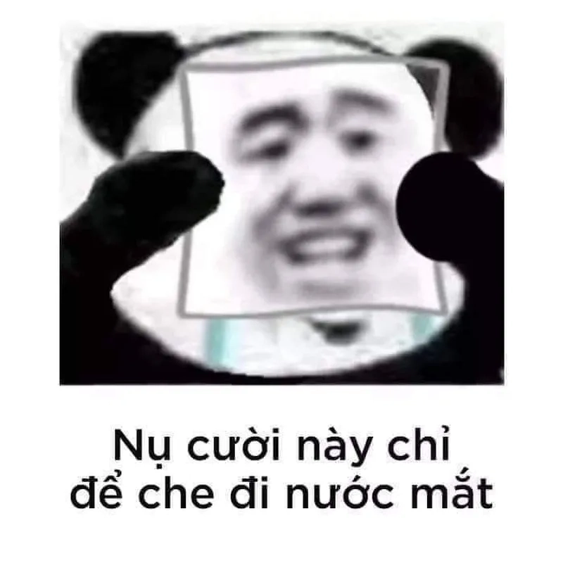 Meme gấu trúc ngang ngược tạo nên những câu chuyện hài hước