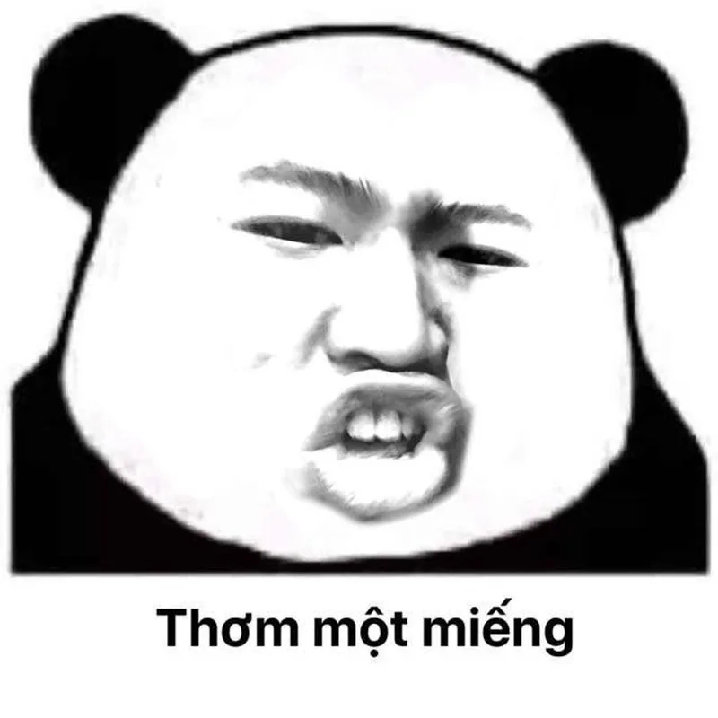 Meme gấu trúc hỏi chấm tạo nên những khoảnh khắc thú vị