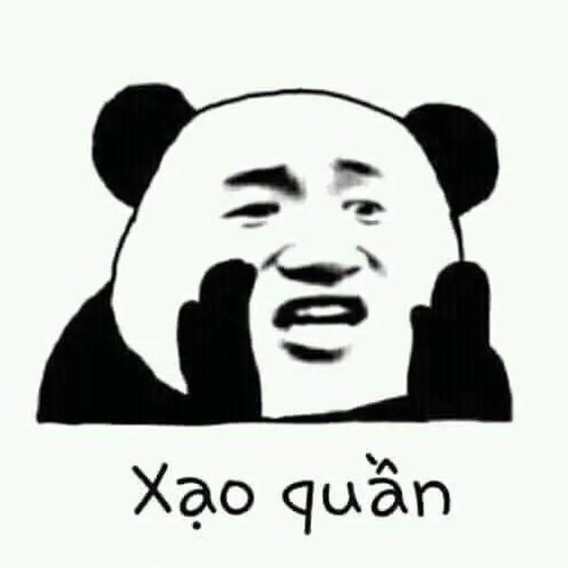 Meme gấu trúc ngại tạo nên những khoảnh khắc đáng yêu