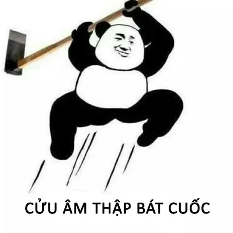 Meme gấu trúc đa tạ thể hiện sự chân thành và gần gũi