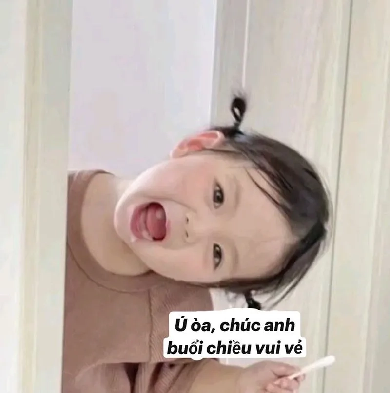 Meme hài cute luôn thu hút sự chú ý với sự dễ thương