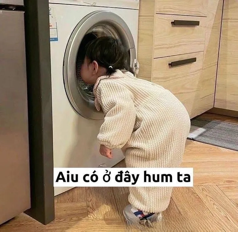 Ảnh meme hài cute tạo nên sự vui vẻ và hài hước