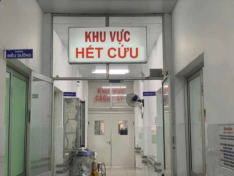 Khỏi cứu meme sẽ khiến bạn cảm thấy thú vị và hài hước