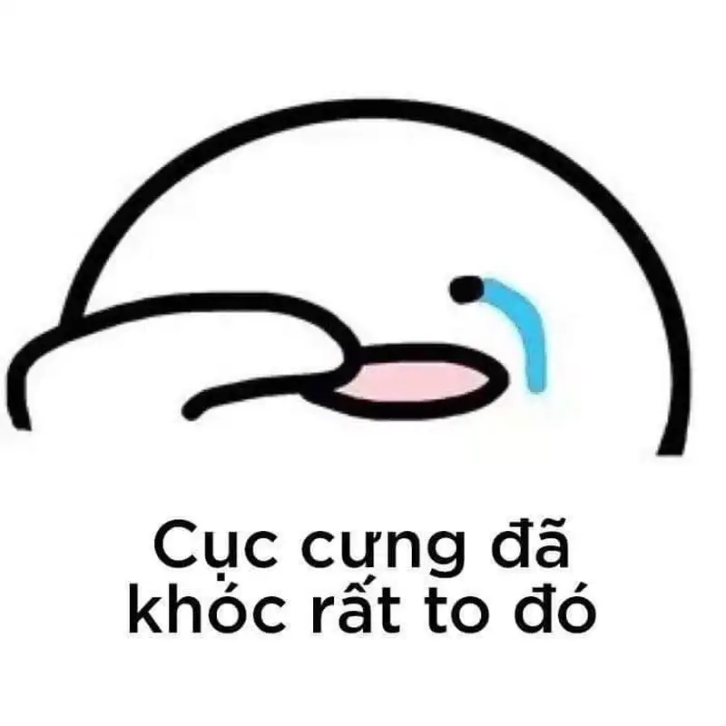 Meme gấu khóc luôn gây ấn tượng với sự dễ thương