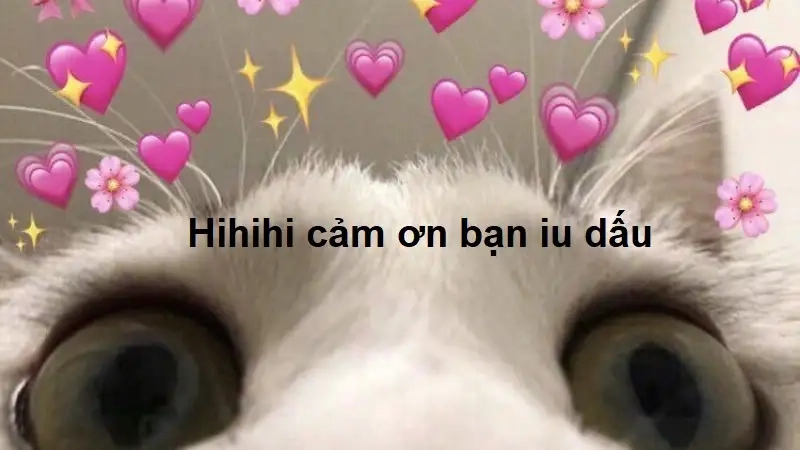 Cảm ơn cô và các bạn đã lắng nghe meme luôn thu hút sự chú ý