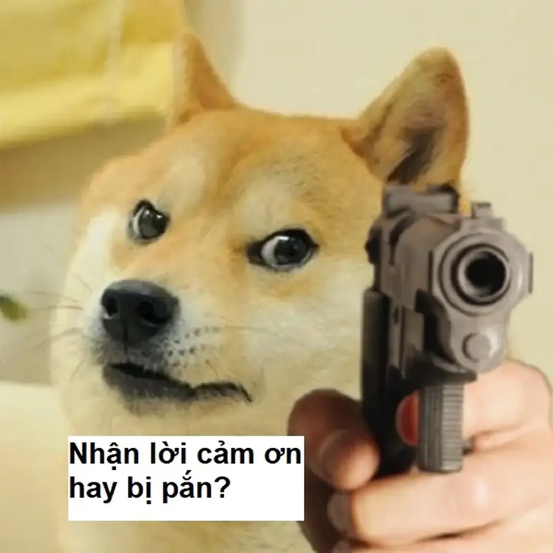 Cảm ơn mọi người đã lắng nghe meme luôn gây ấn tượng