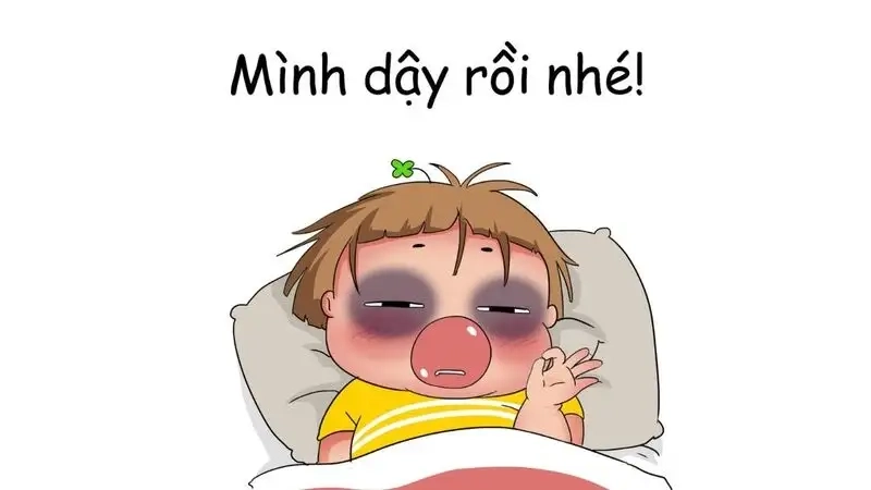 Vô tri meme mèo khóc cute khiến bạn cảm thấy dễ thương và hài hước