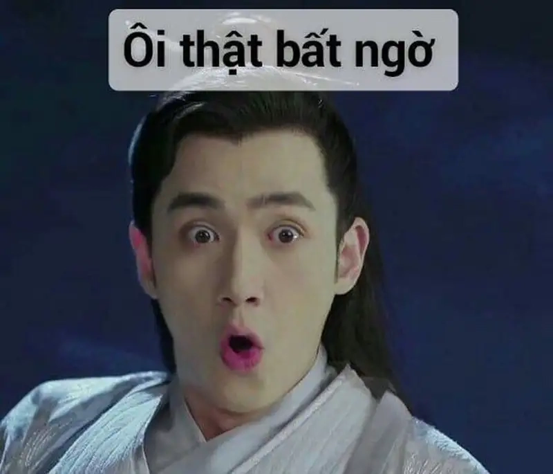 Ảnh bất ngờ meme luôn gây ấn tượng với sự sáng tạo