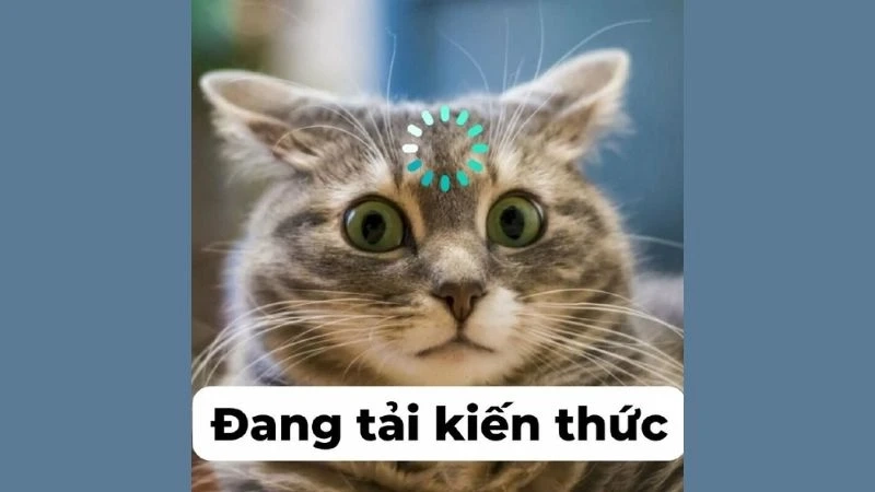 Meme vui lên đi sẽ khuyến khích bạn tìm niềm vui trong cuộc sống