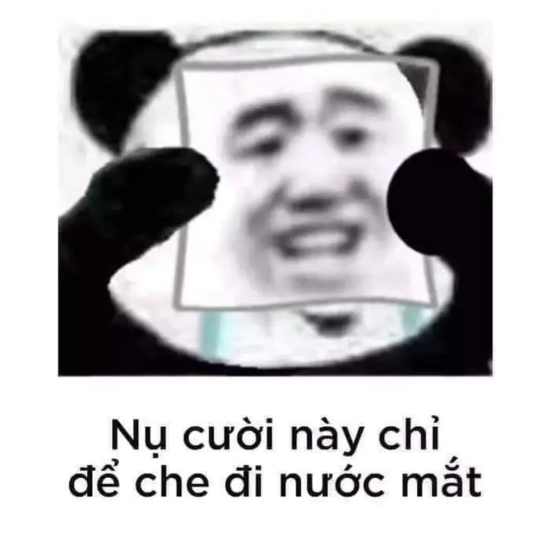 Hình meme mèo khóc luôn gây ấn tượng với sự hài hước