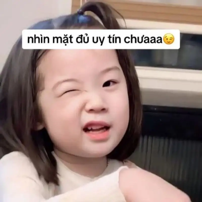 Chó meme cute sẽ khiến bạn cảm thấy vui vẻ và hạnh phúc