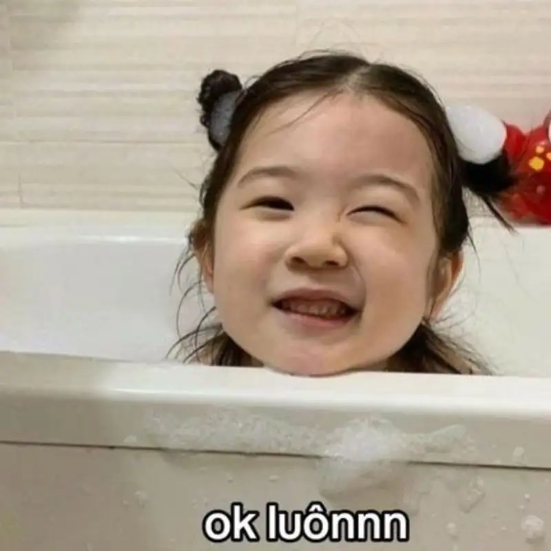 Ảnh chó cute meme là lựa chọn tuyệt vời cho những ai yêu thích chó